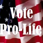 Vote ProLife Flag