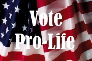 Vote ProLife Flag