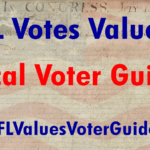 Local Voter Guide